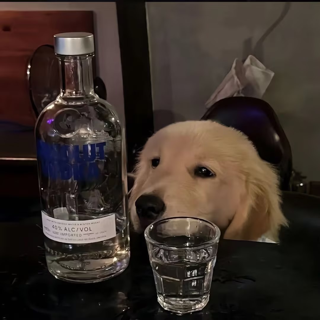 职位发布者头像