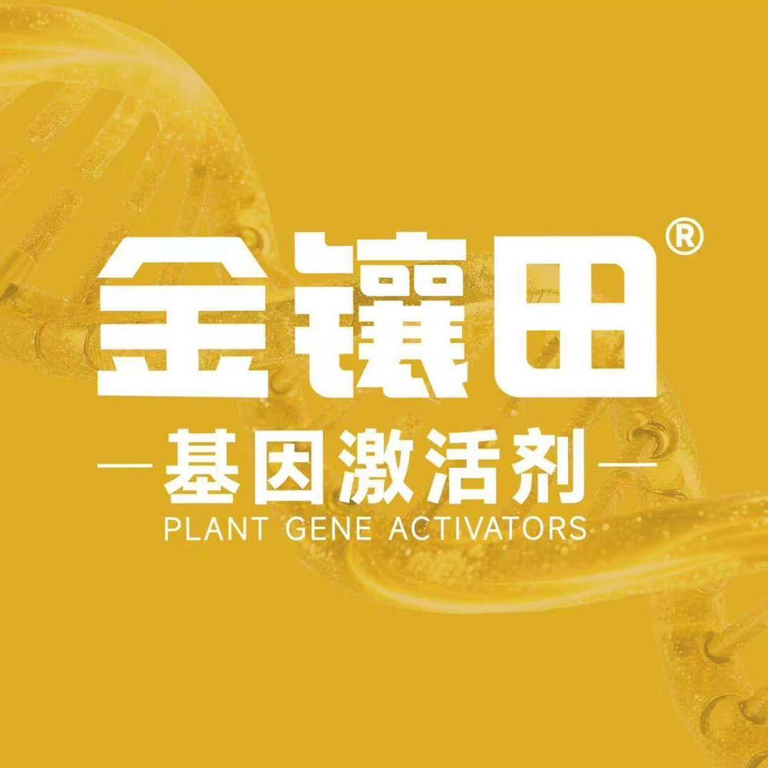 职位发布者头像