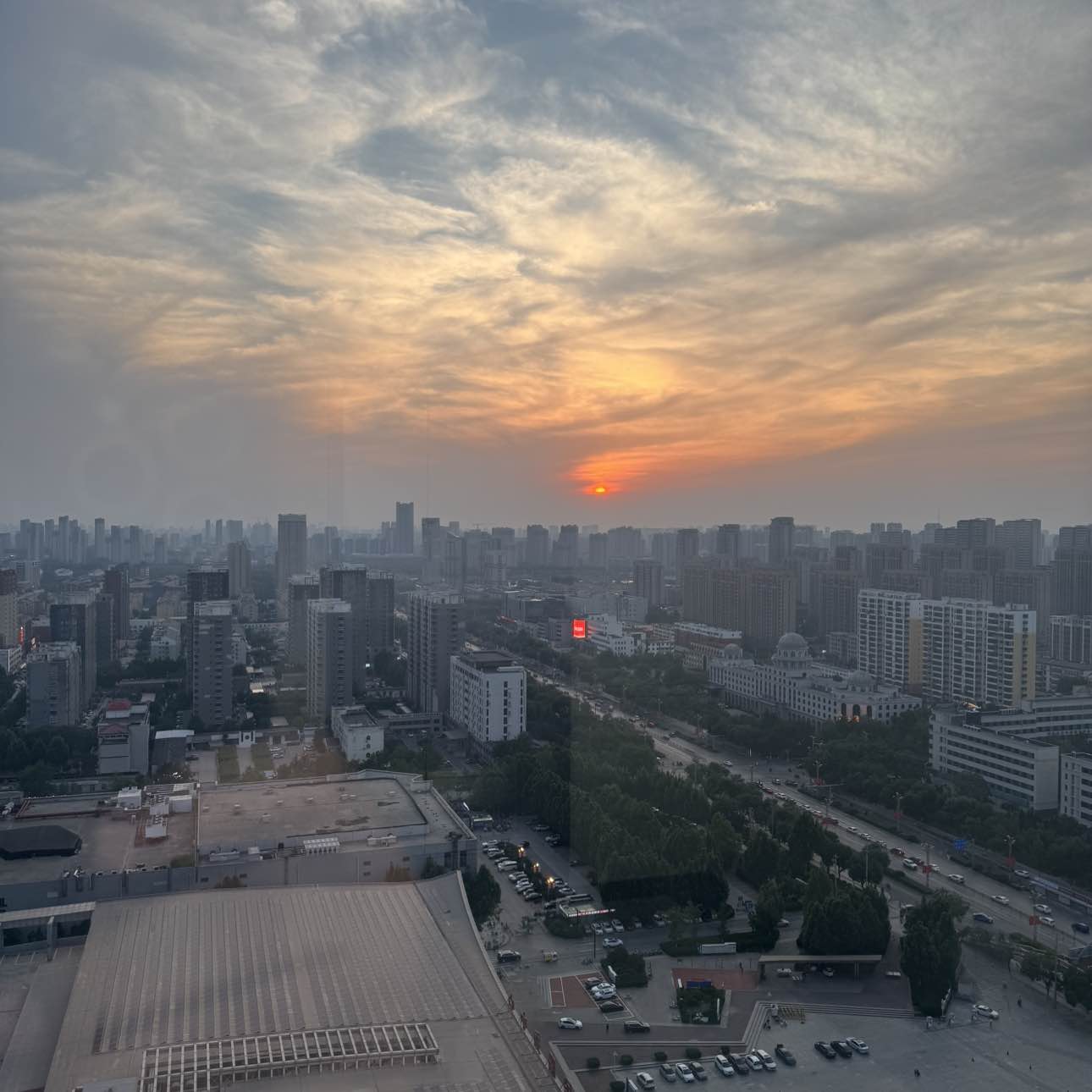 职位发布者头像