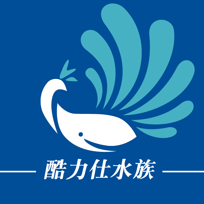 职位发布者头像