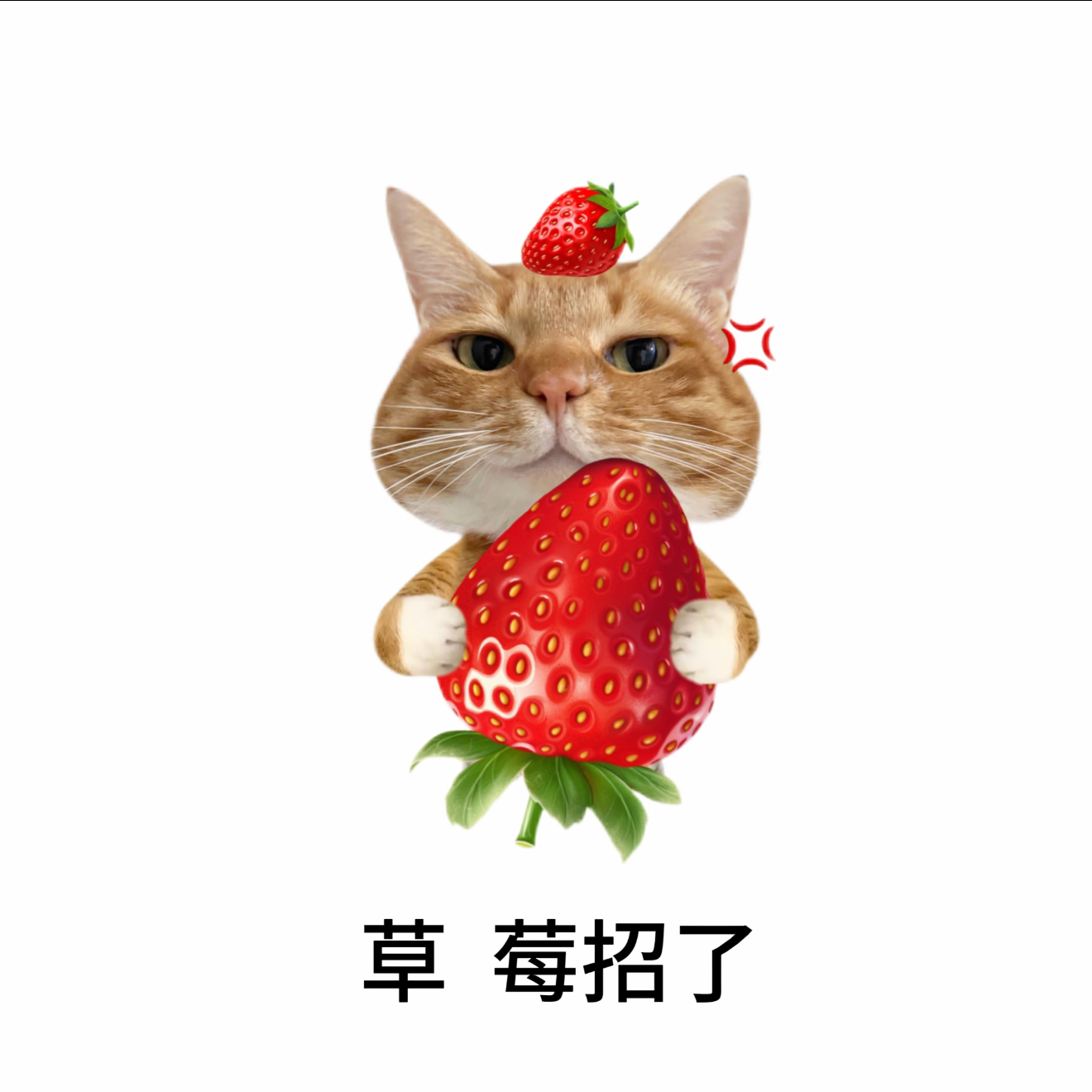 职位发布者头像