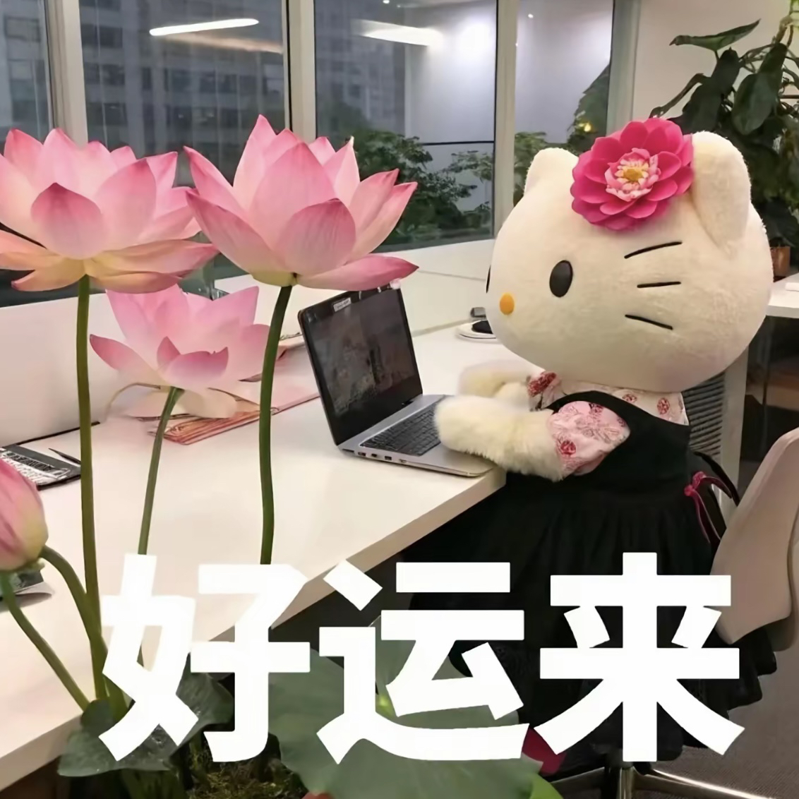 职位发布者头像