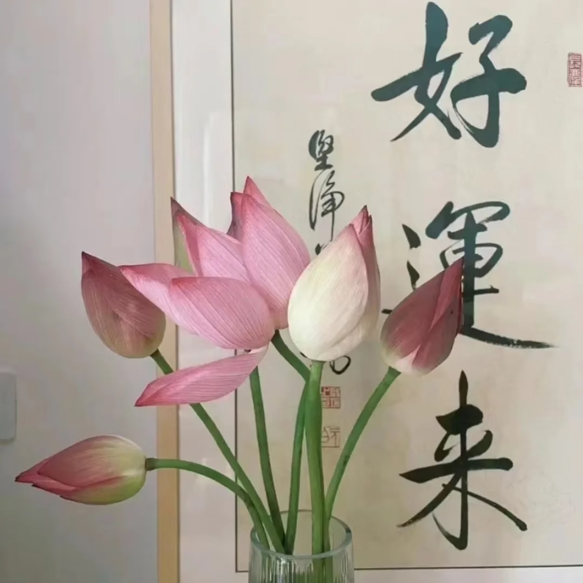 职位发布者头像