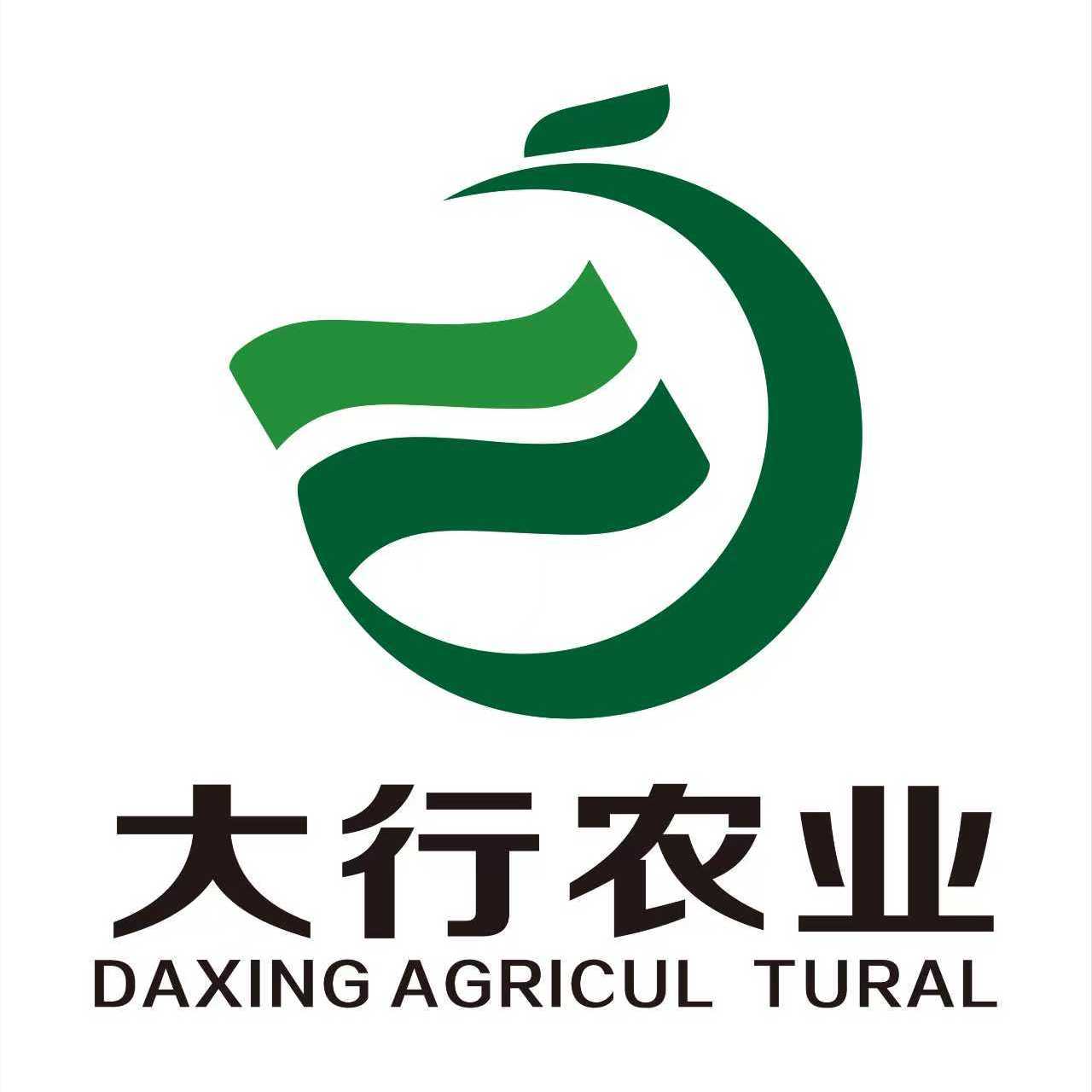 职位发布者头像