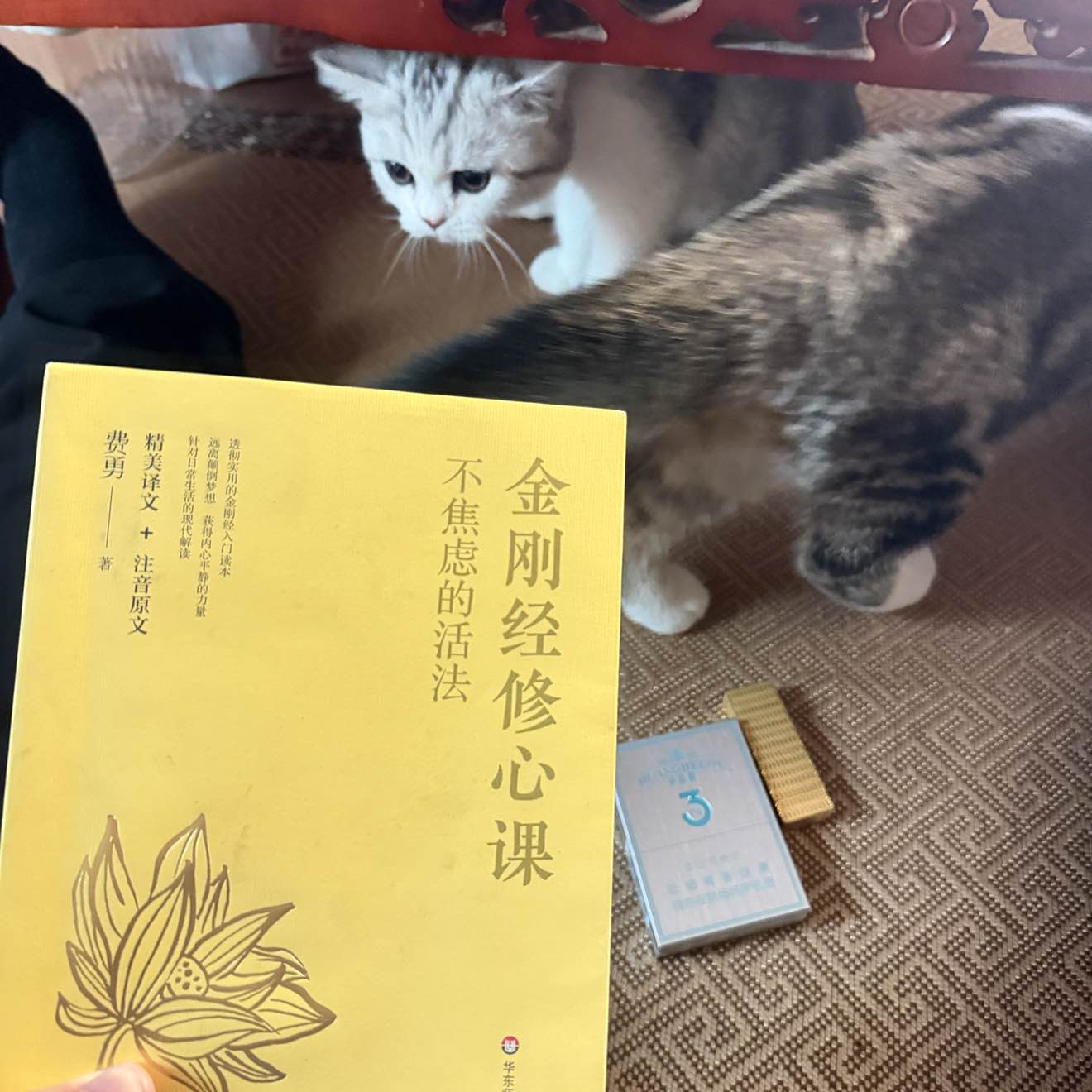职位发布者头像
