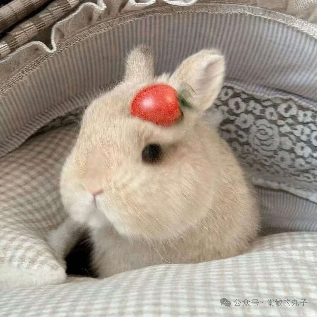 职位发布者头像