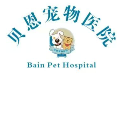 职位发布者头像