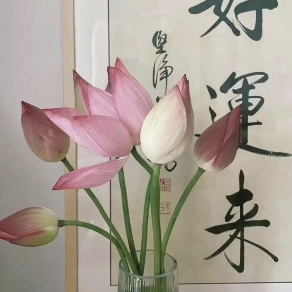 职位发布者头像