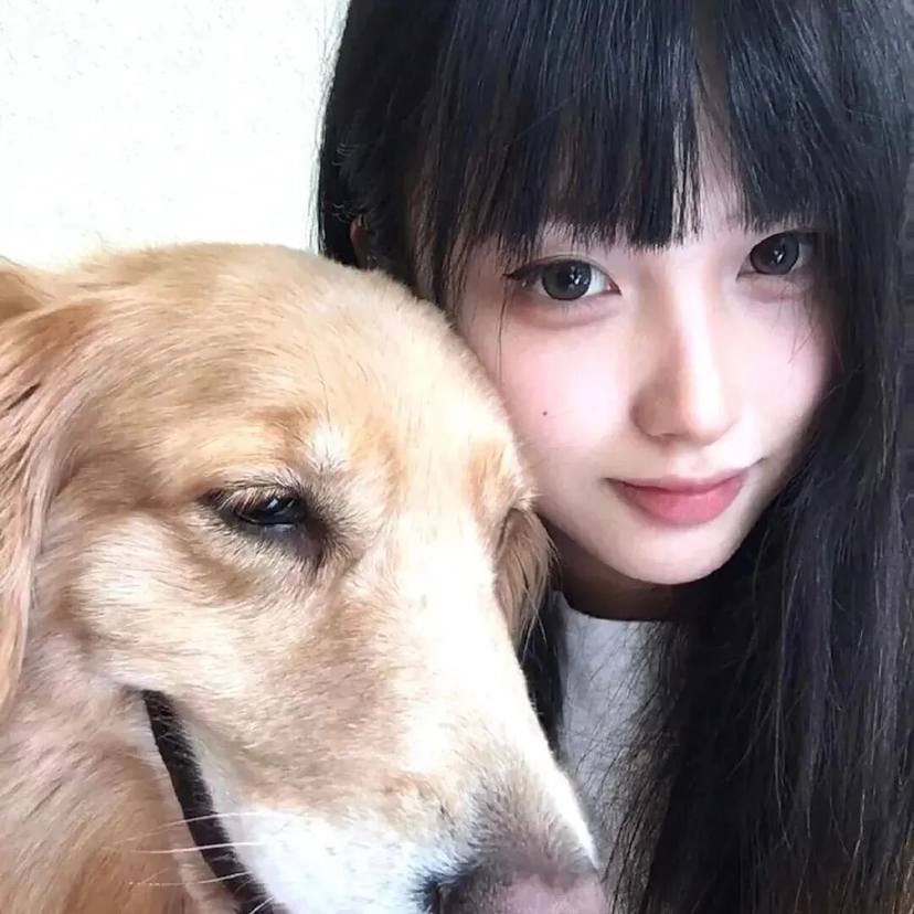 职位发布者头像