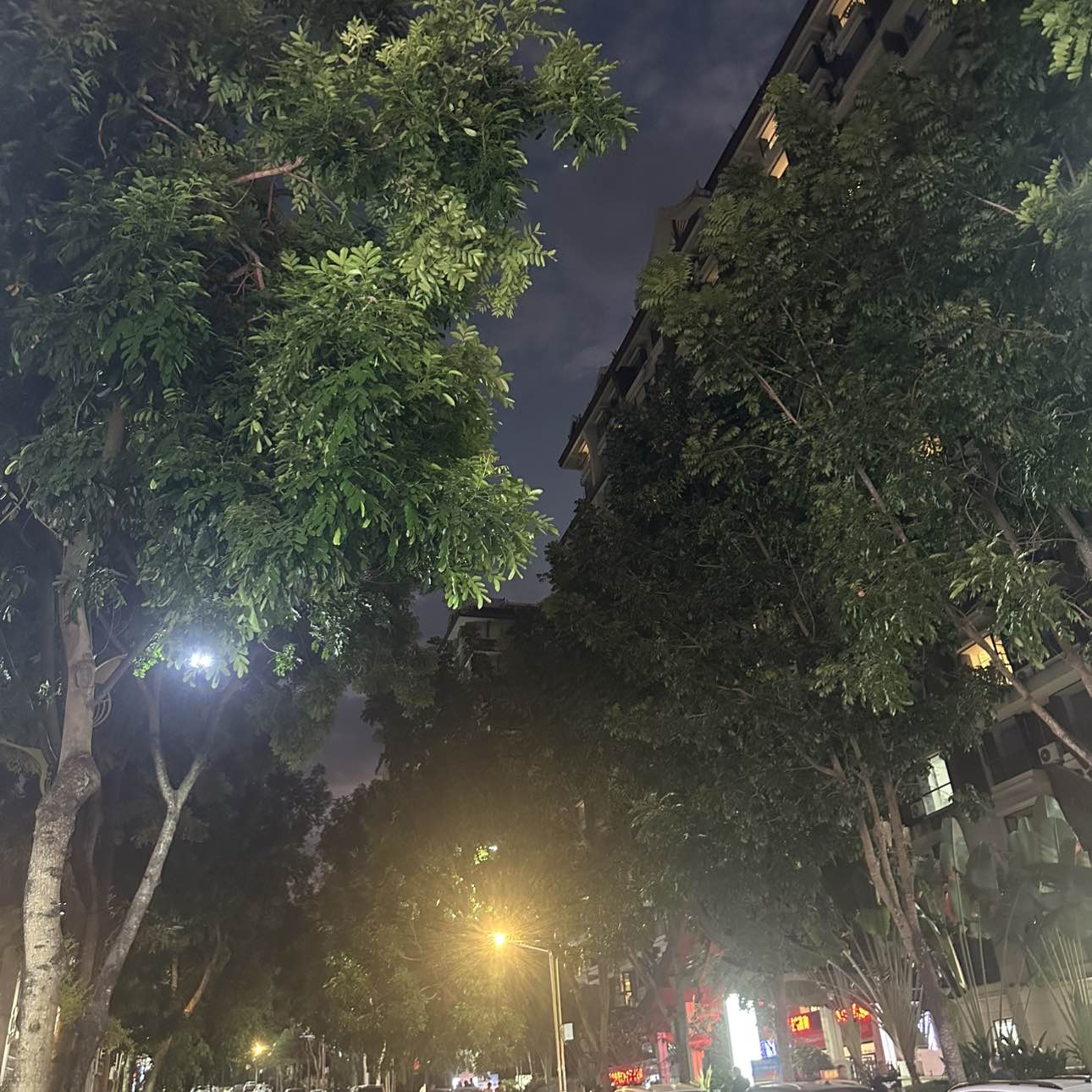 职位发布者头像