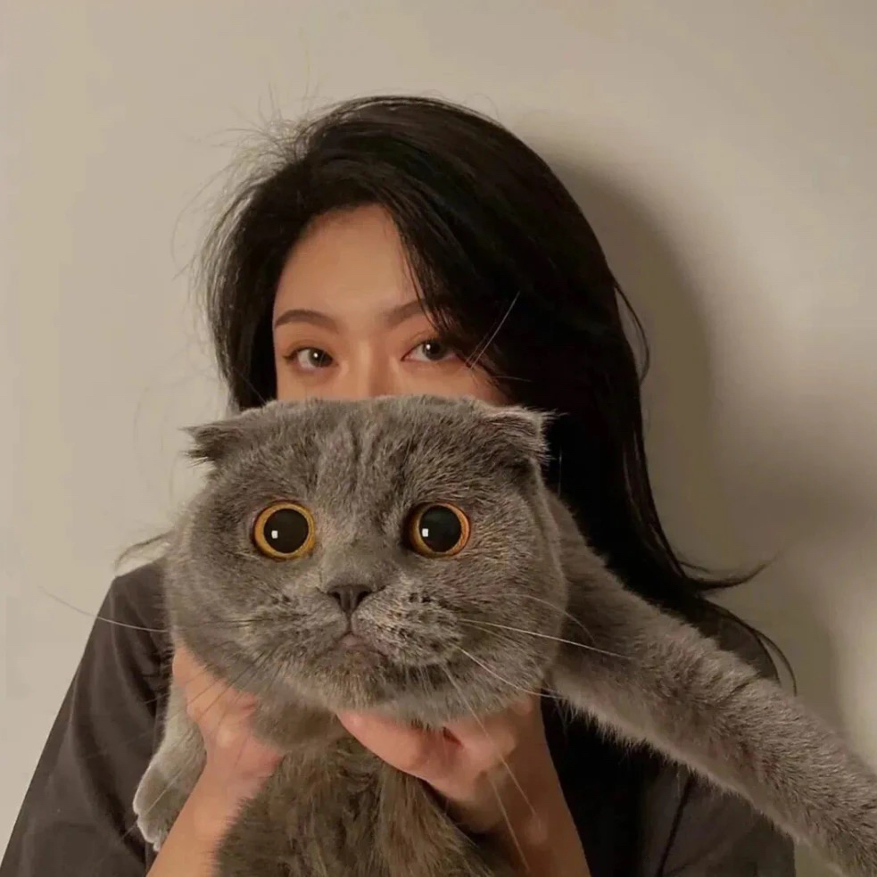 职位发布者头像