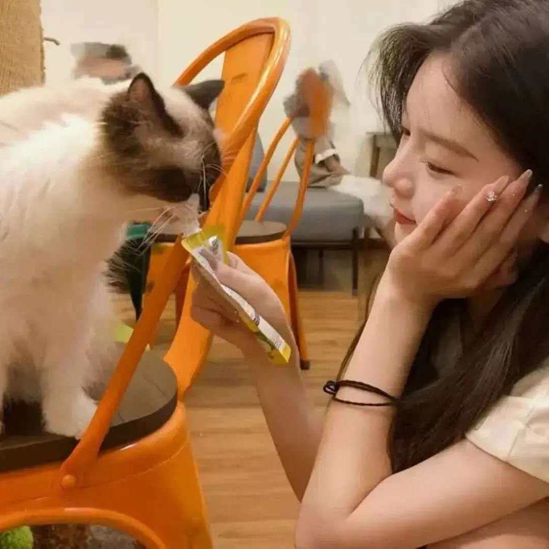 职位发布者头像