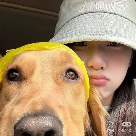 职位发布者头像