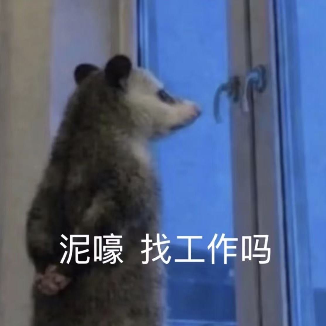 职位发布者头像