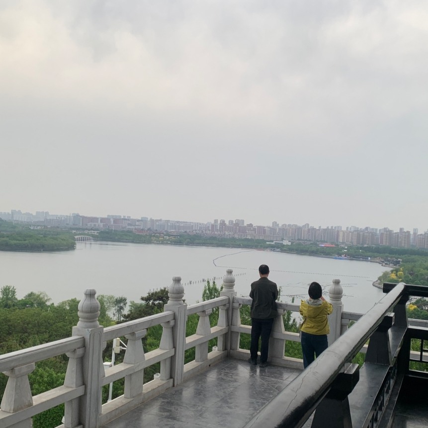 职位发布者头像
