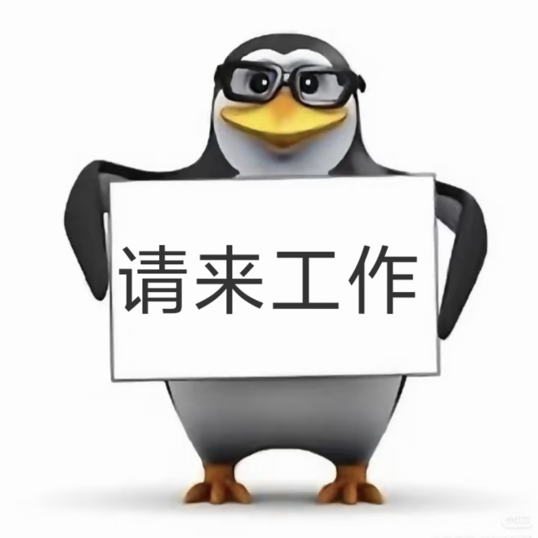 职位发布者头像