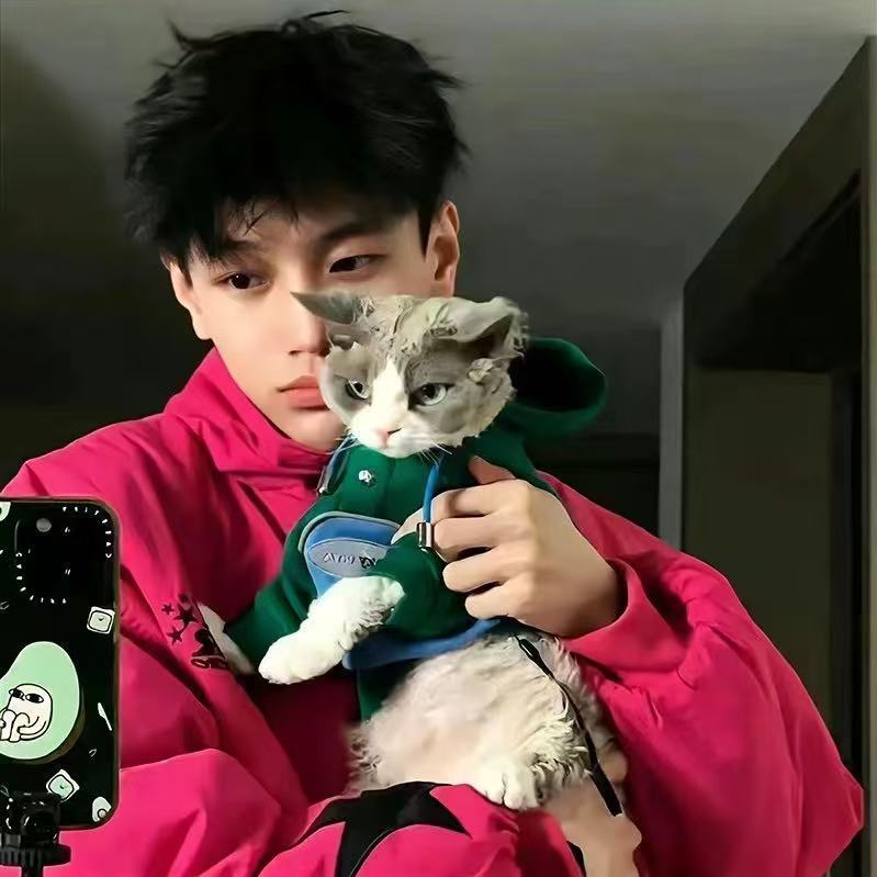 职位发布者头像