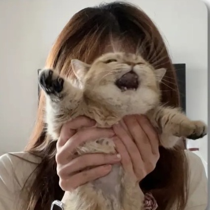 职位发布者头像