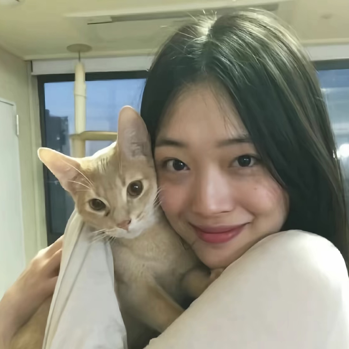职位发布者头像