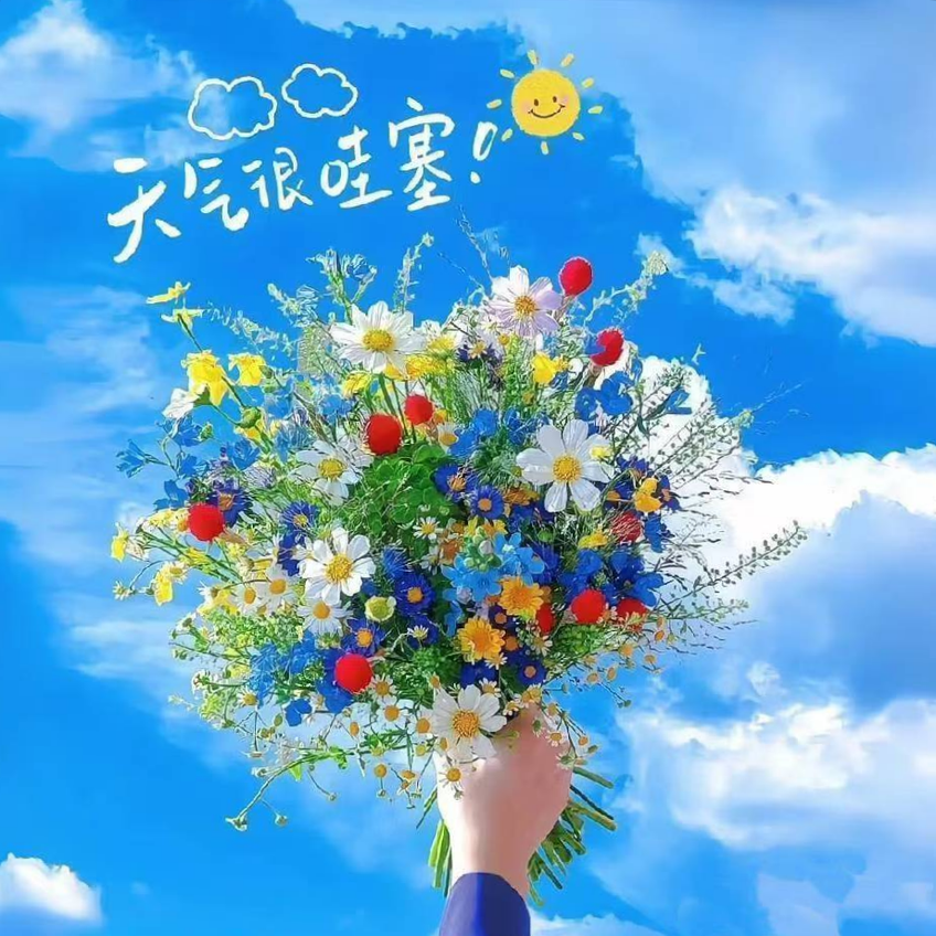 职位发布者头像