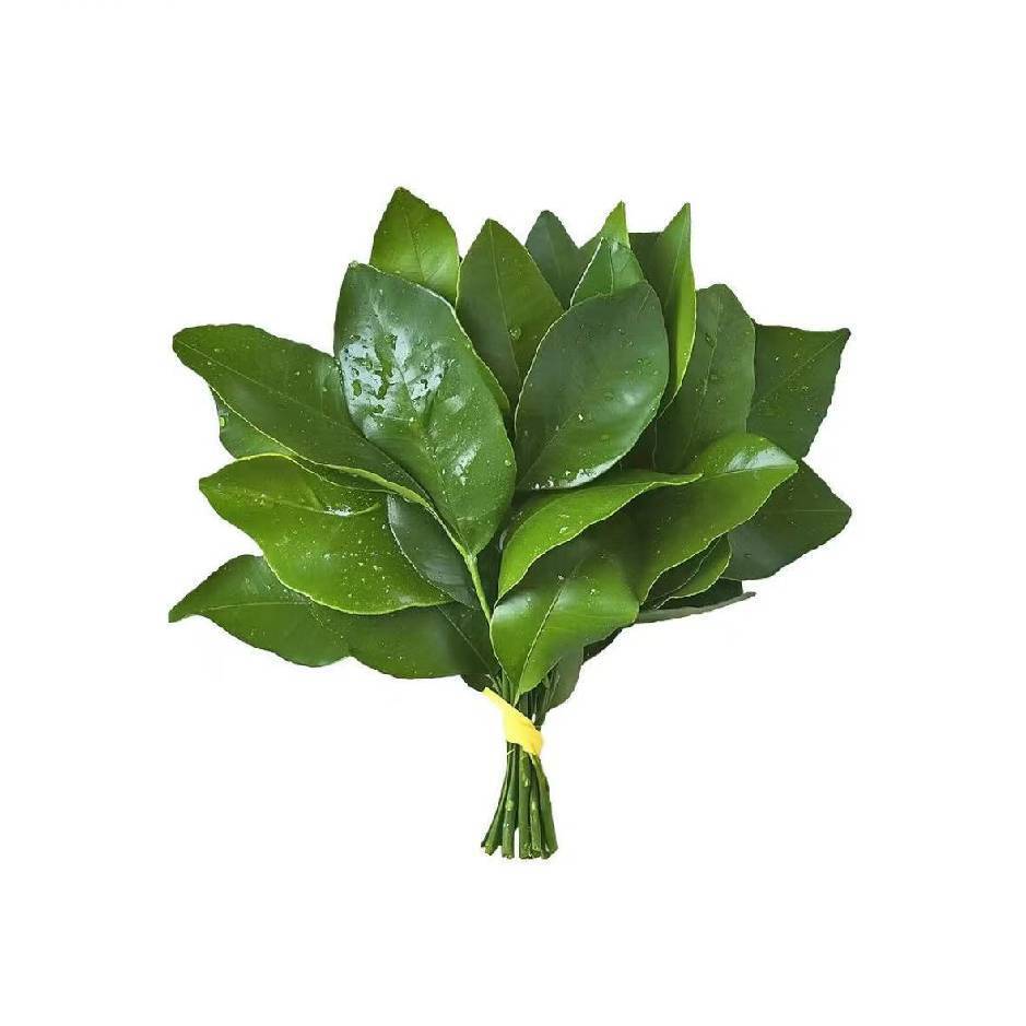 职位发布者头像