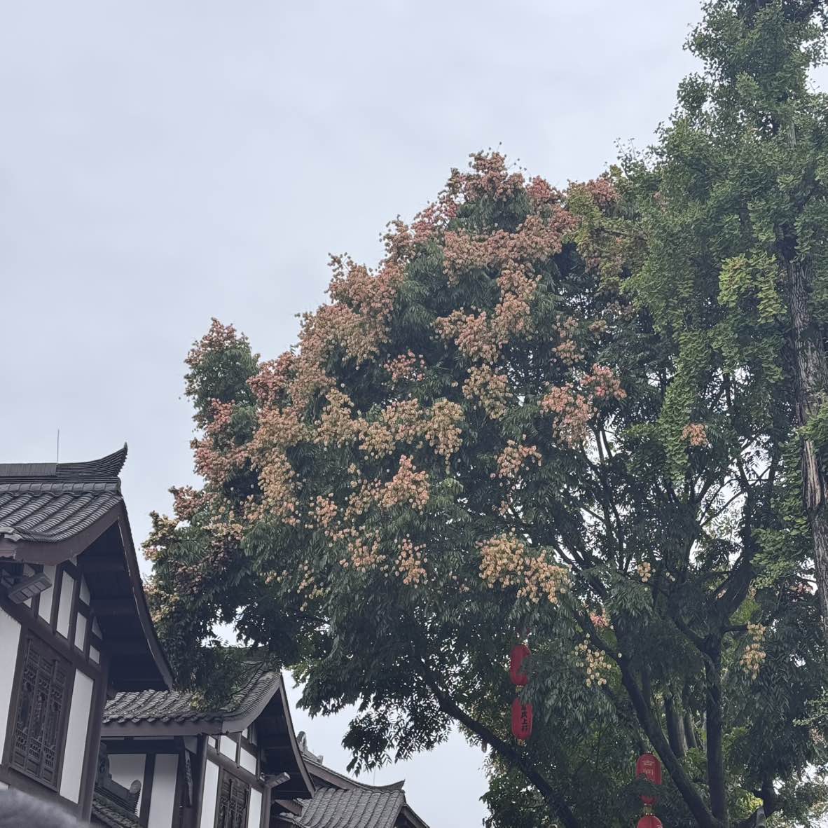 职位发布者头像