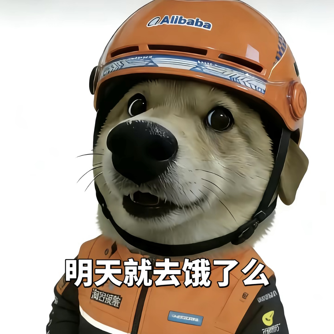 职位发布者头像