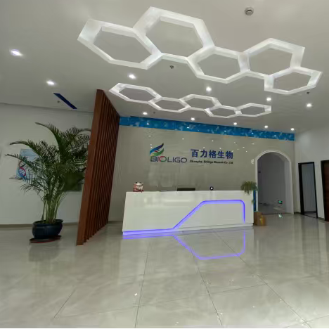 职位发布者头像