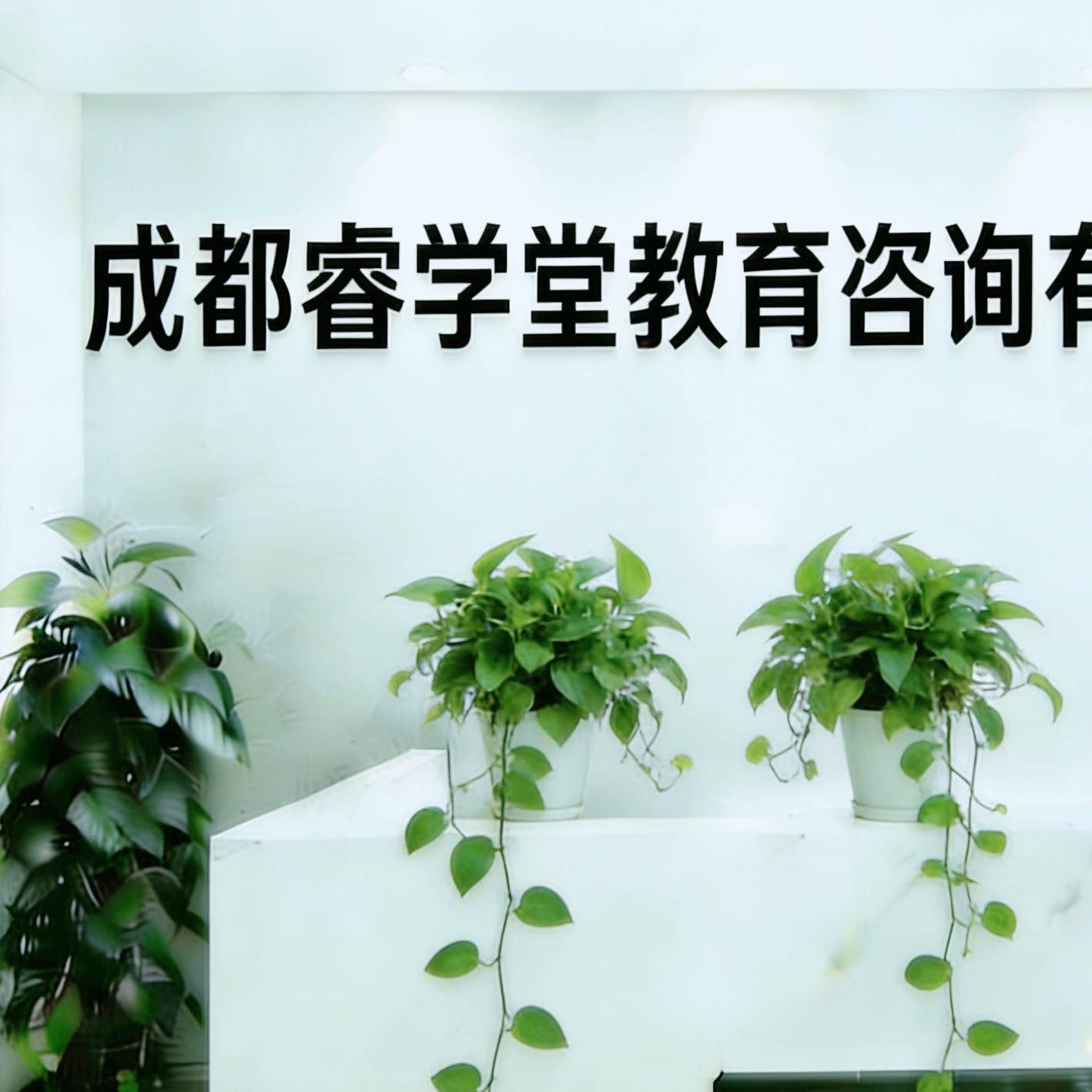 职位发布者头像
