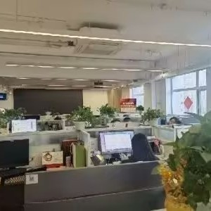 职位发布者头像