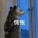 职位发布者头像