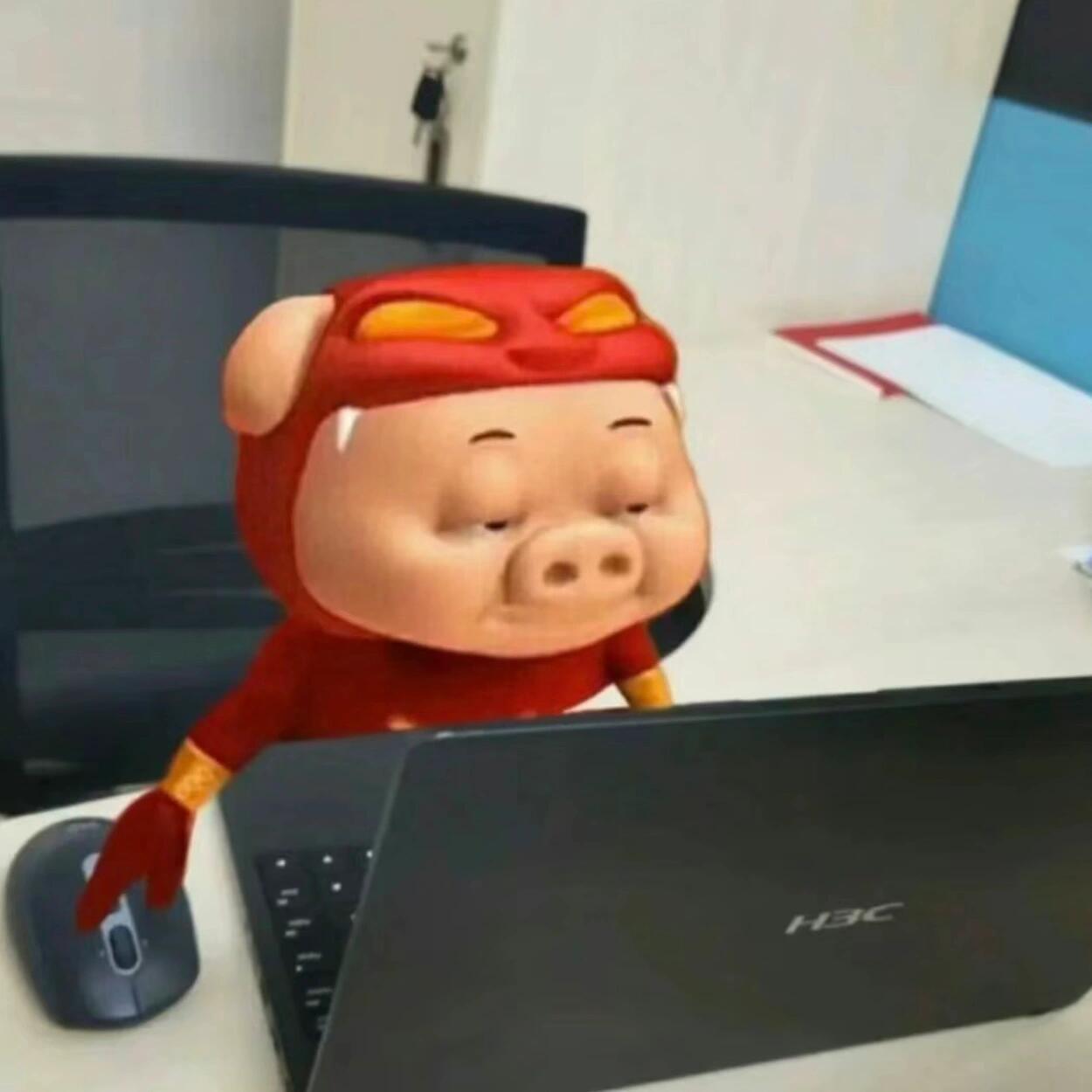 职位发布者头像