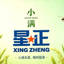 职位发布者头像