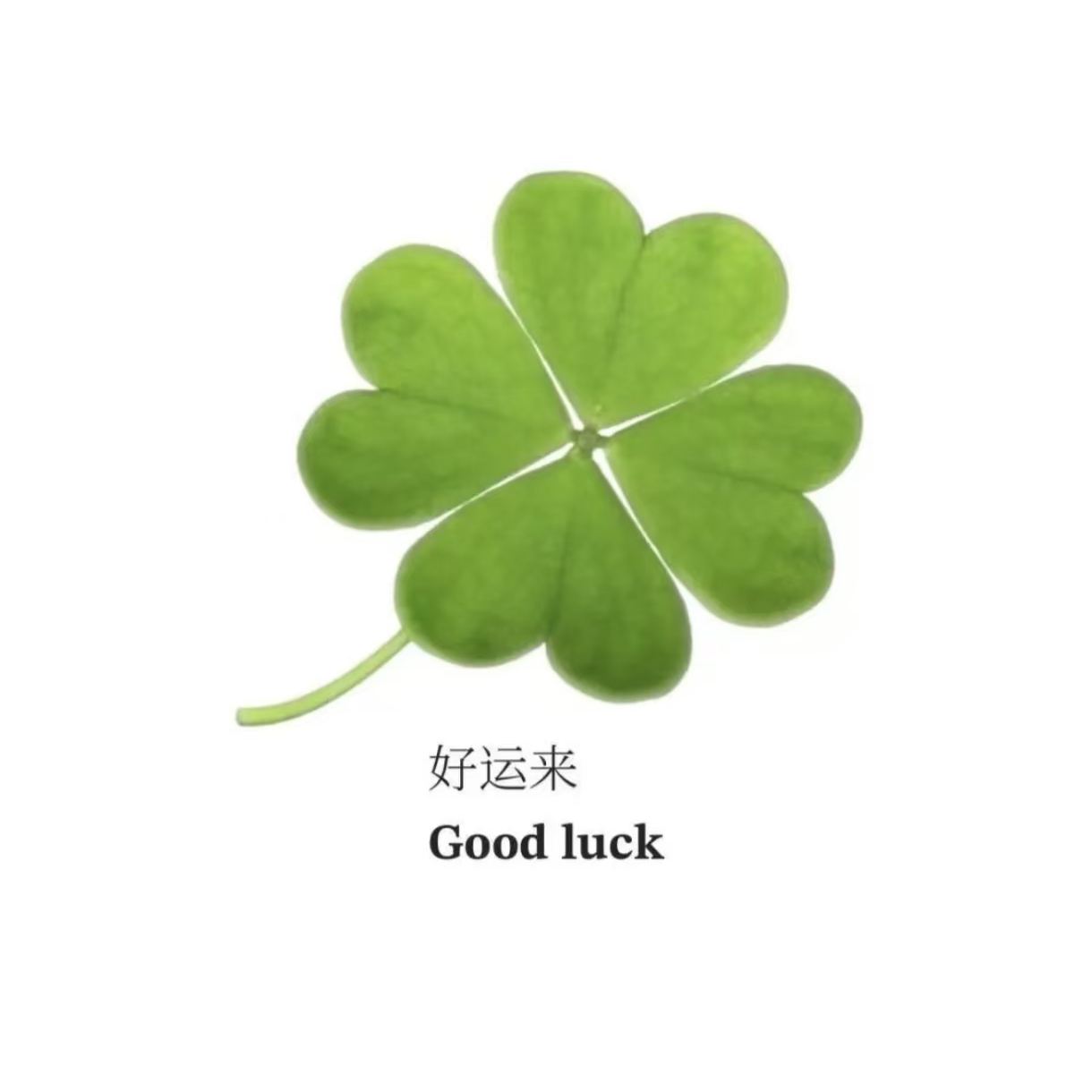职位发布者头像