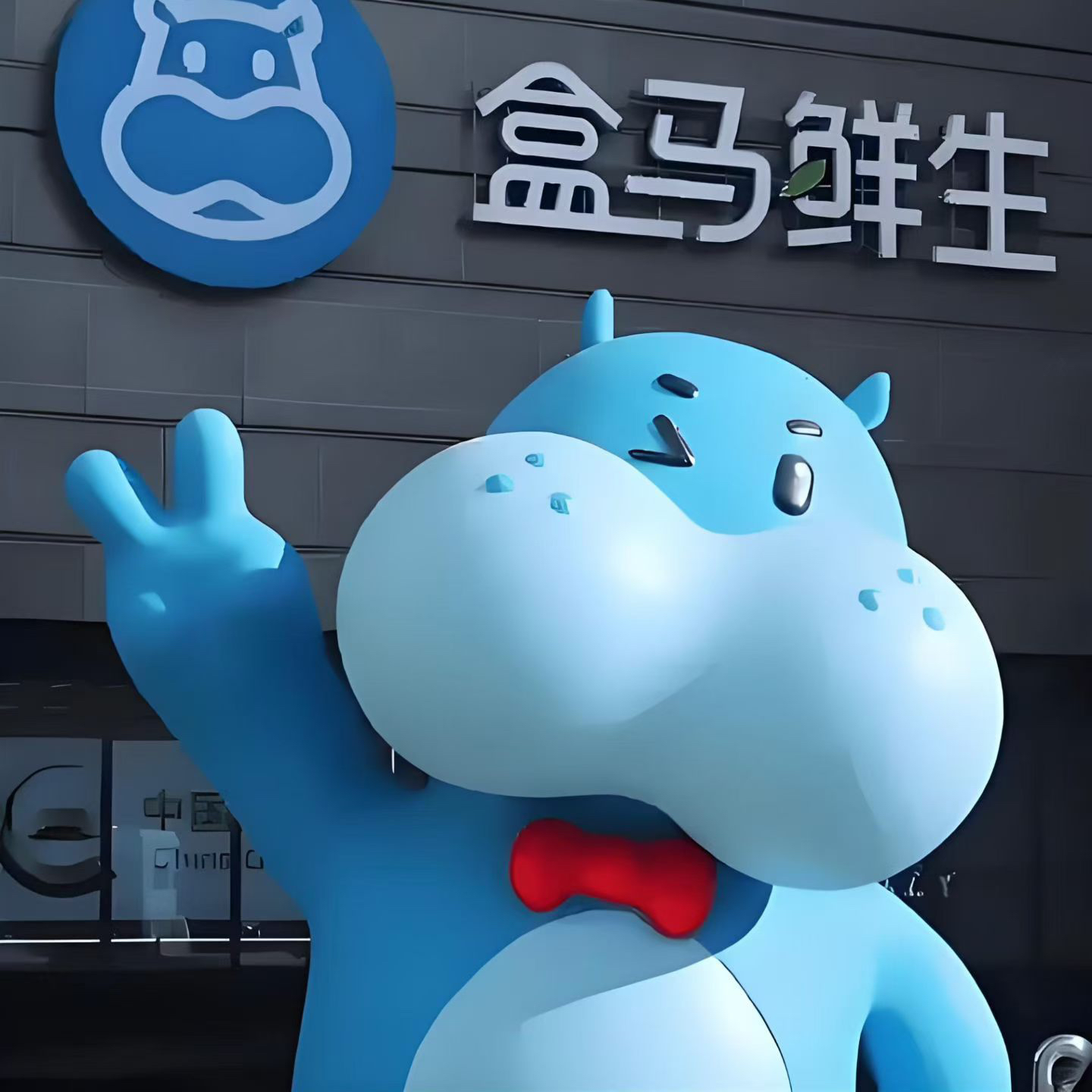 职位发布者头像