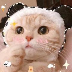 hr頭像