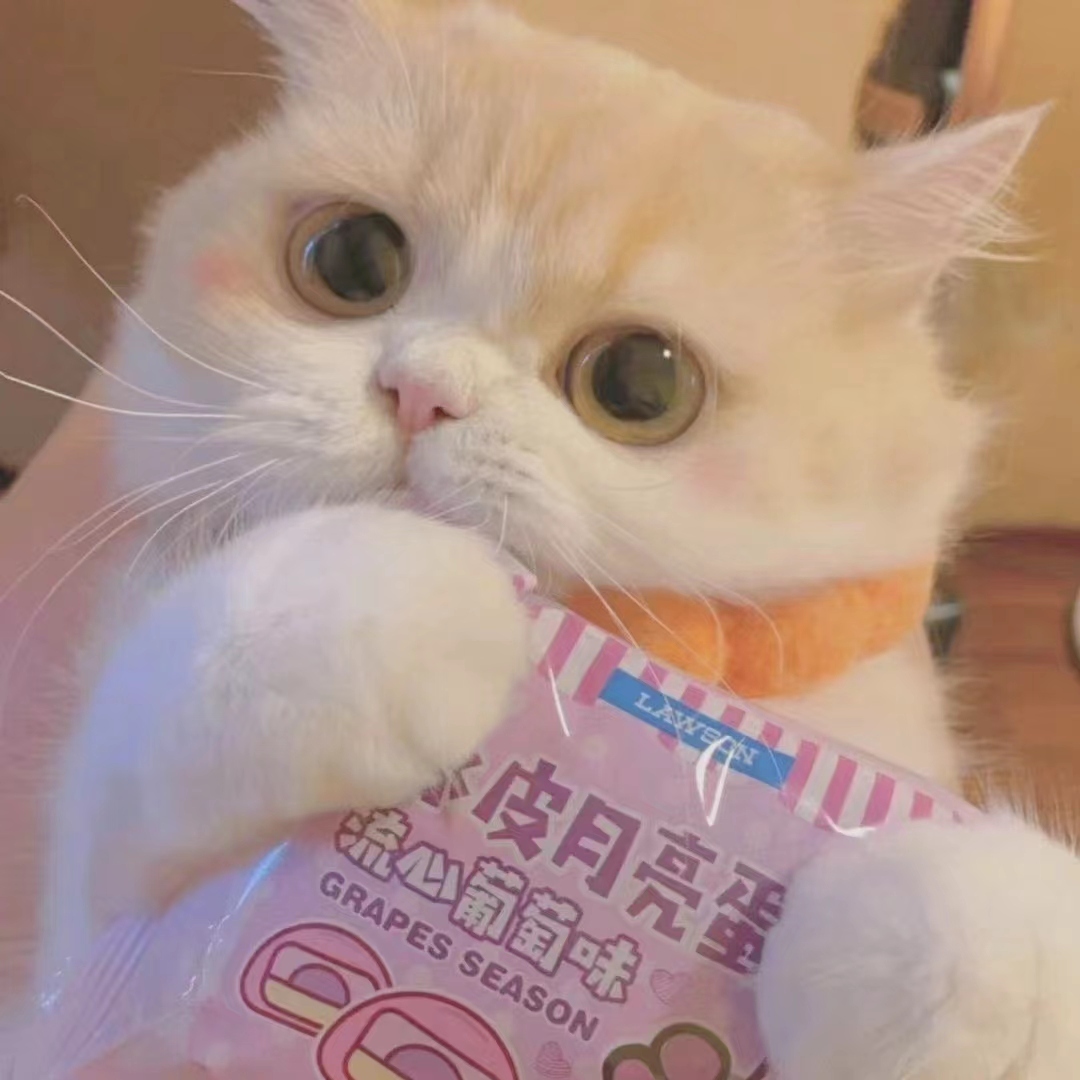 职位发布者头像