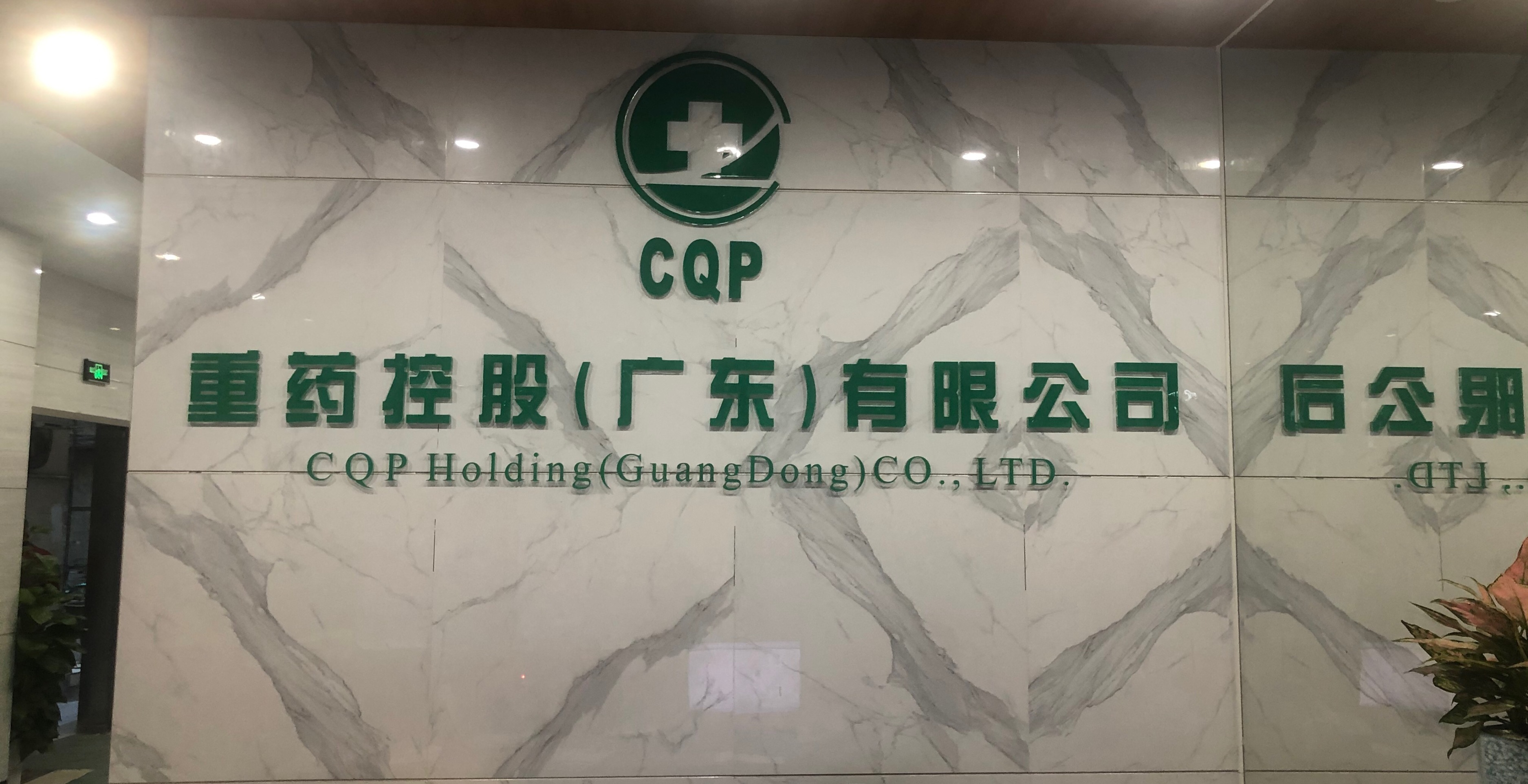 重药控股(广东)有限公司