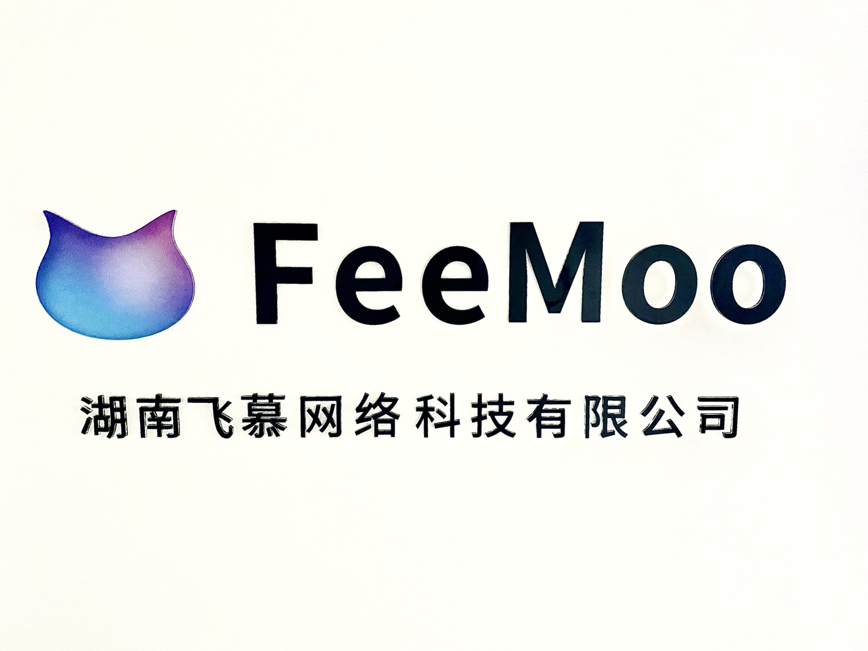 湖南飞慕网络科技有限公司