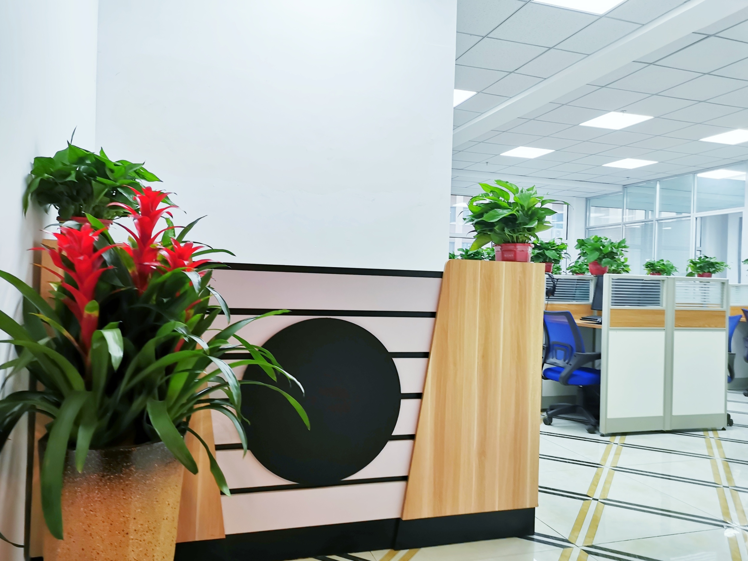 营口卡汇科技有限公司