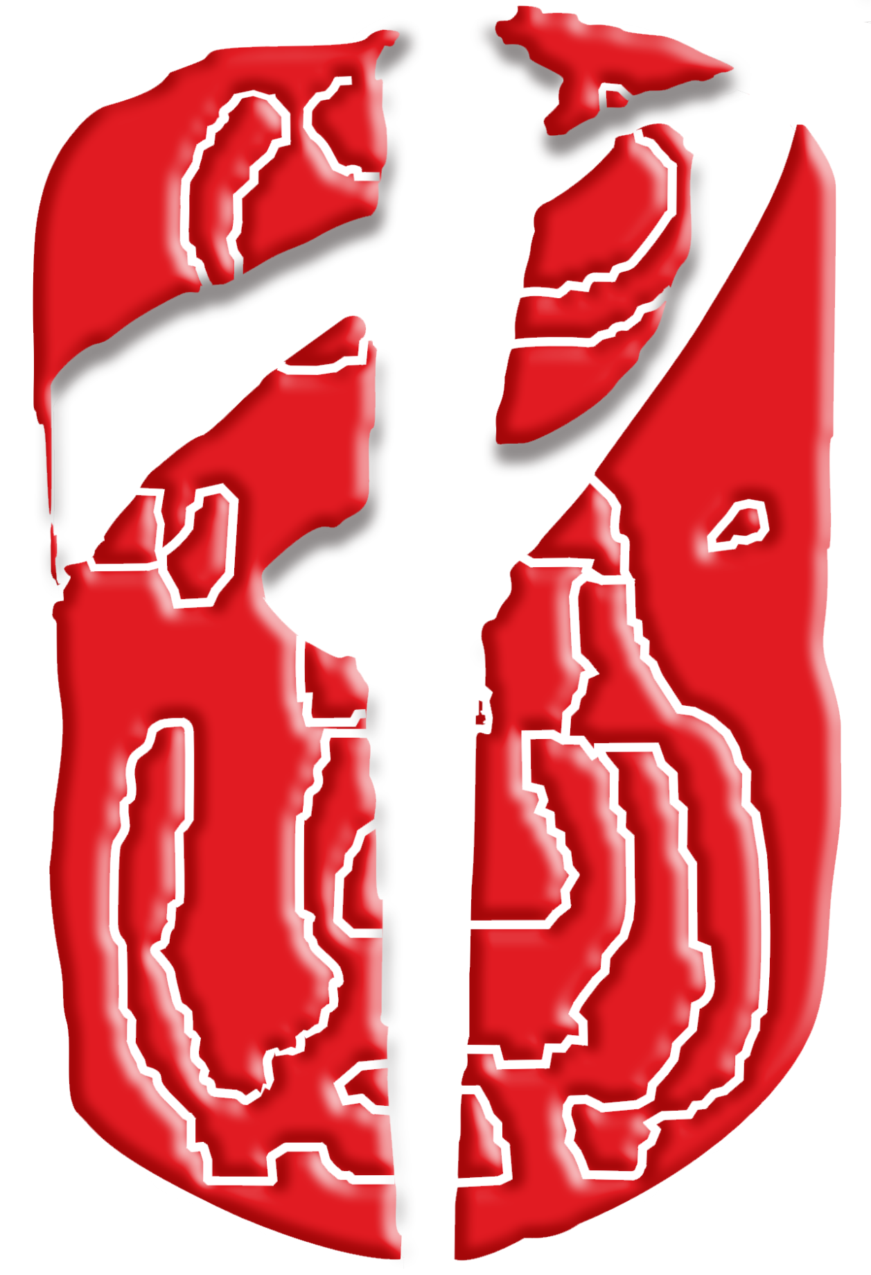 南京中图数码科技有限公司