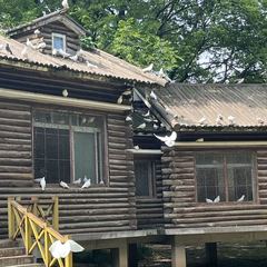hr頭像