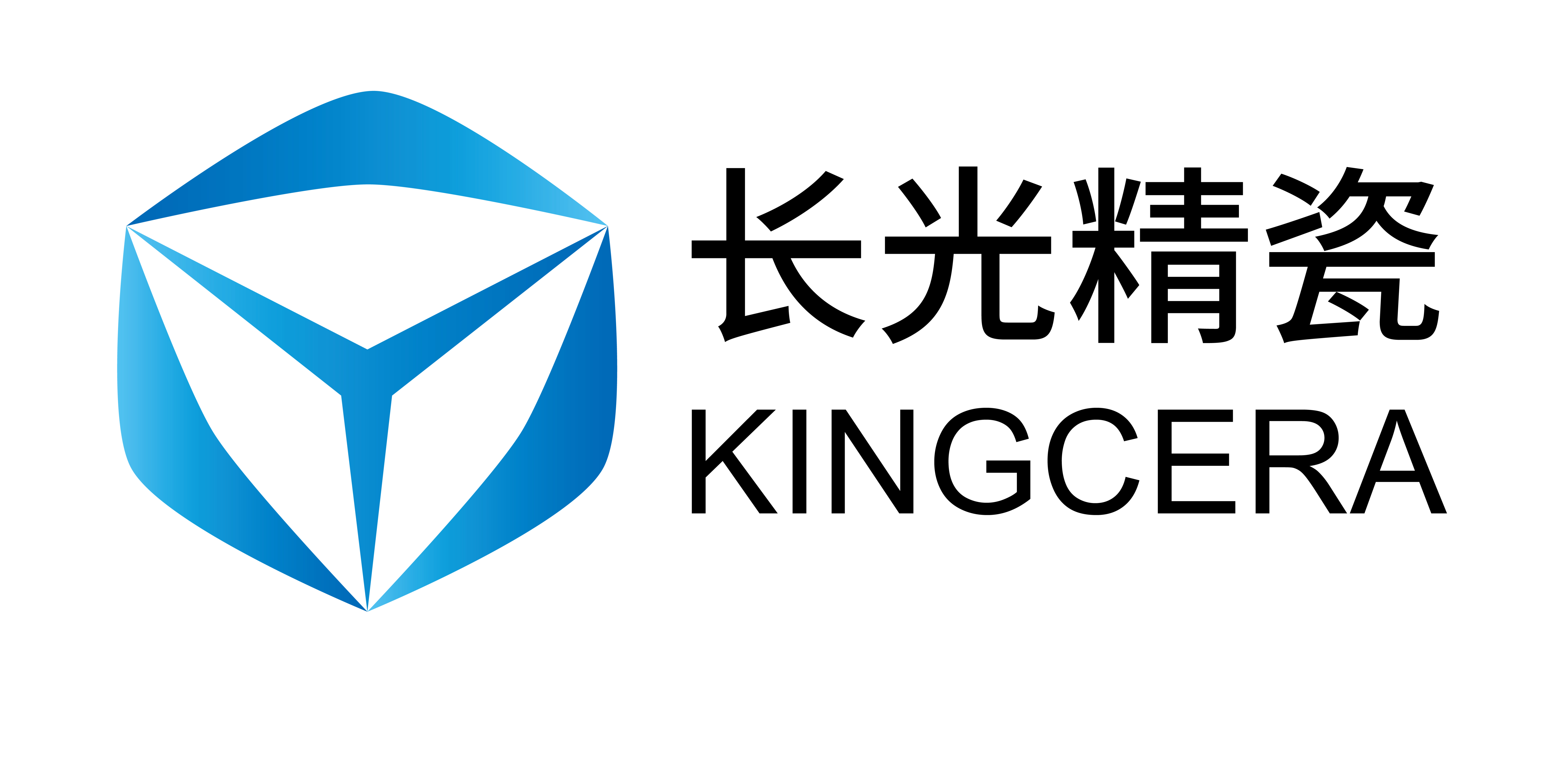长春长光精瓷复合材料有限公司
