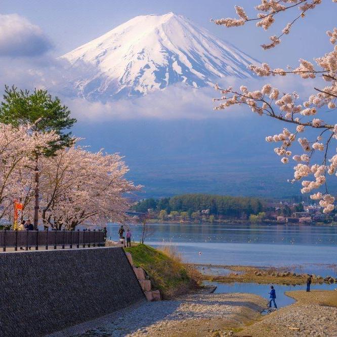 职位发布者头像