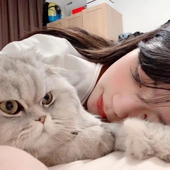 hr头像