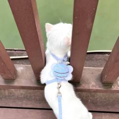 hr頭像
