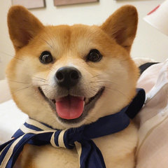 hr頭像