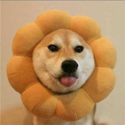 hr头像