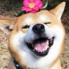 hr頭像