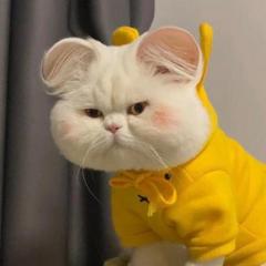 hr頭像